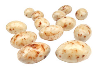 Kolamandel 3,8kg