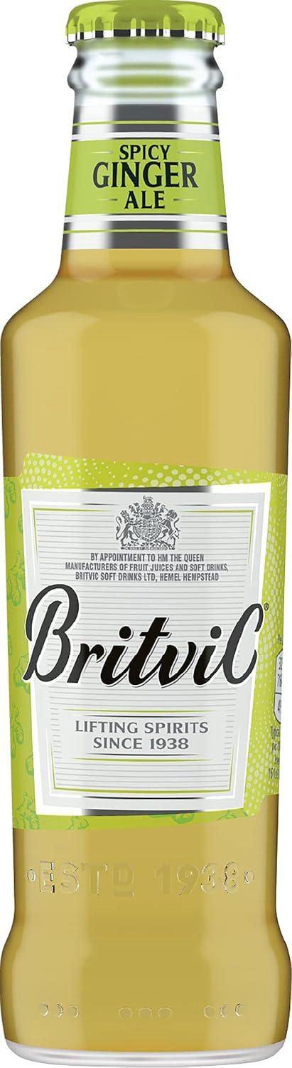 BRITVIC GINGER ALE 20CL
