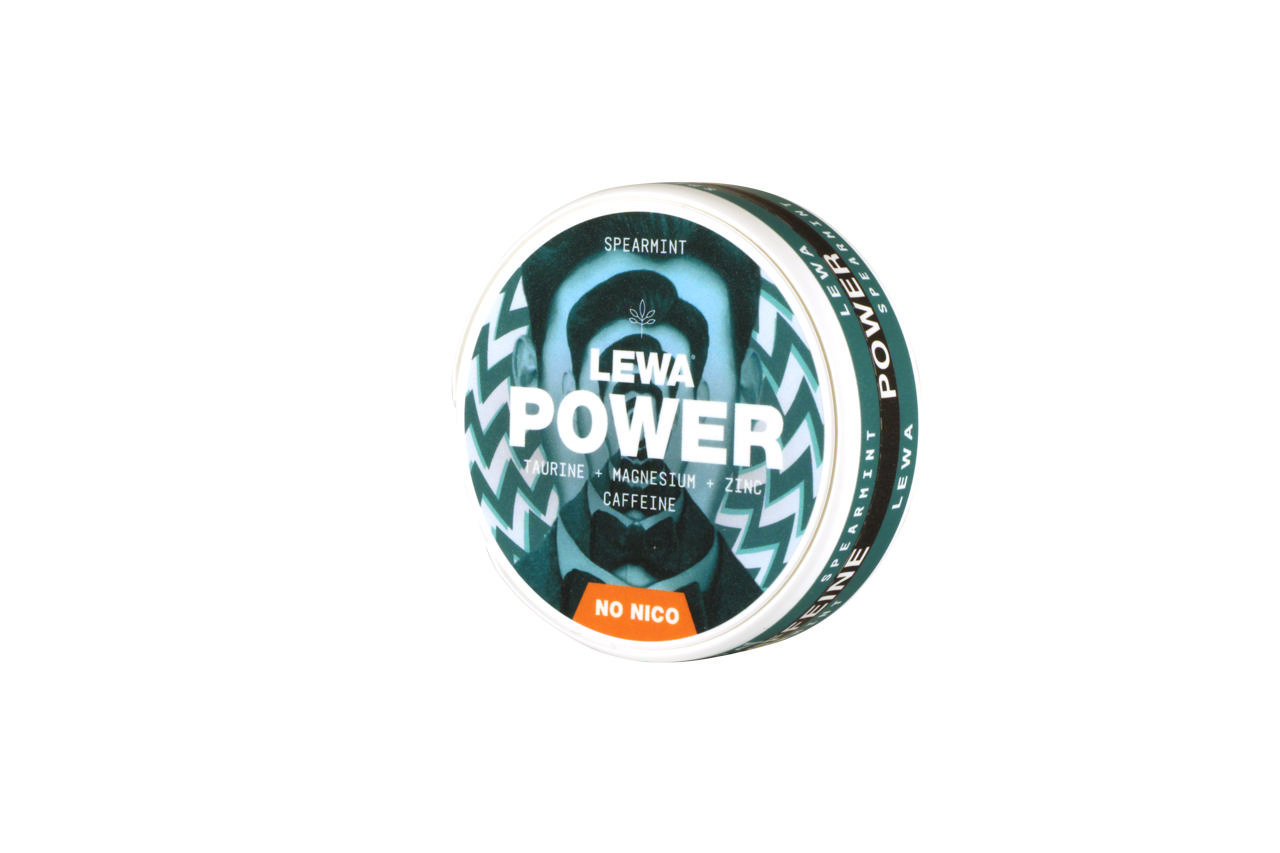 LEWA POWER SPEARMINT DOSA